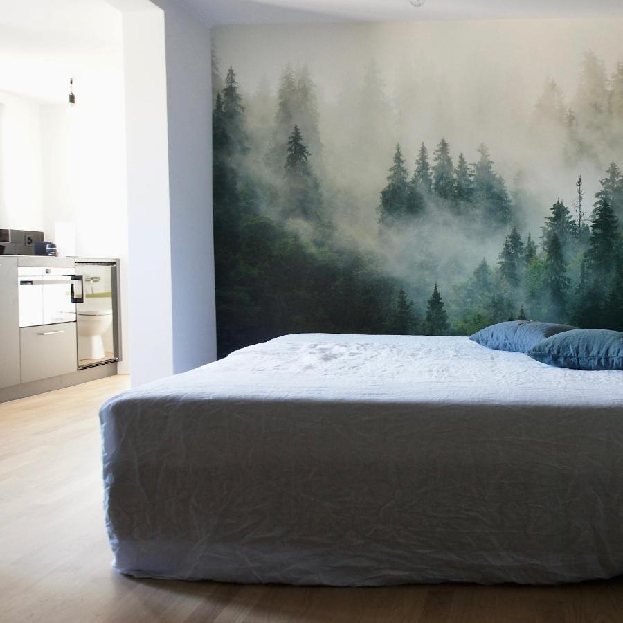 Ni Fravi Holiday Apartments, Interlaken West Eksteriør billede